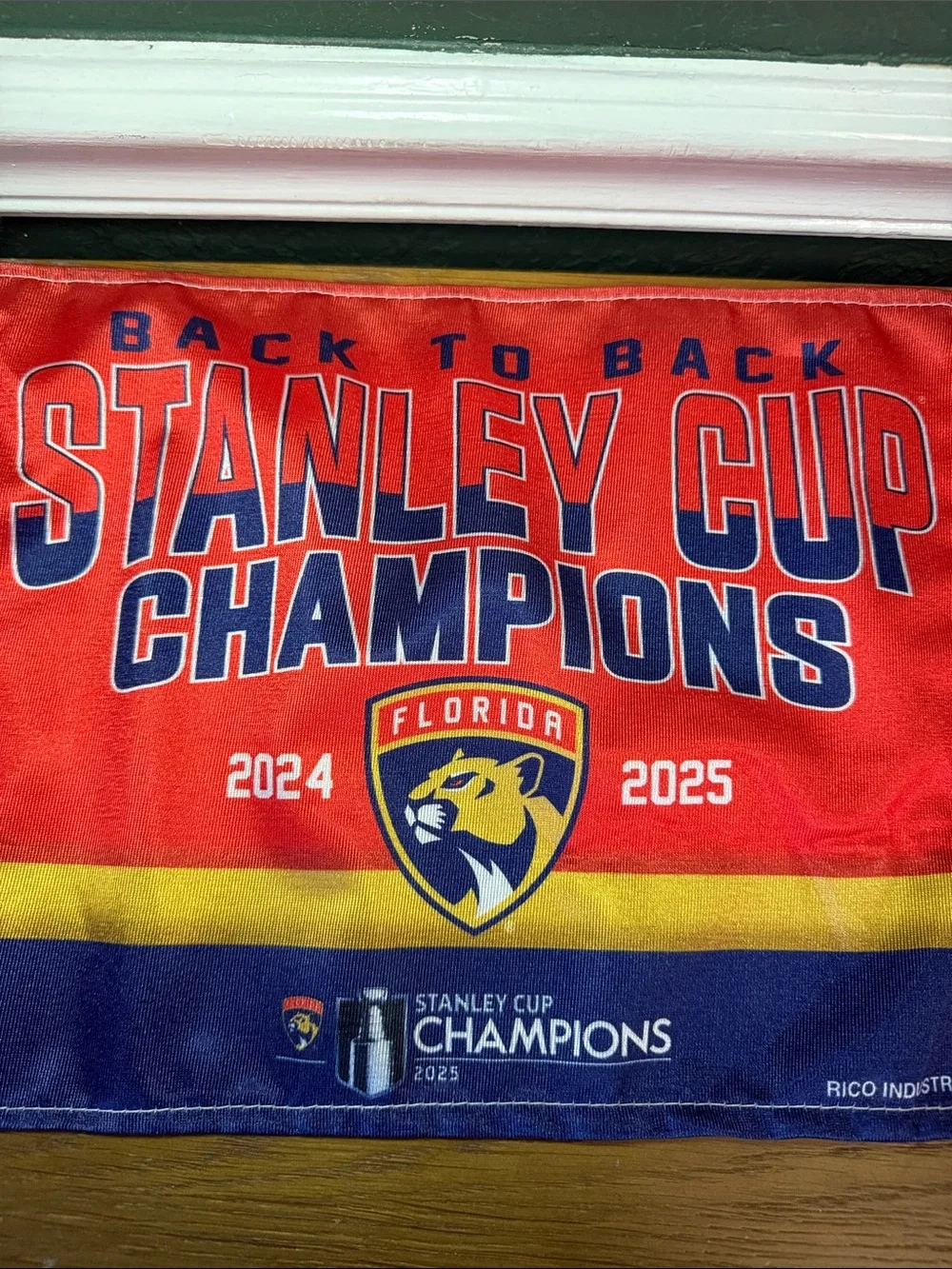 NHL florida panthers